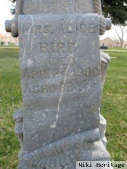 Alice Stokes Bird