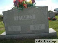 Nannie Ellis Brumley