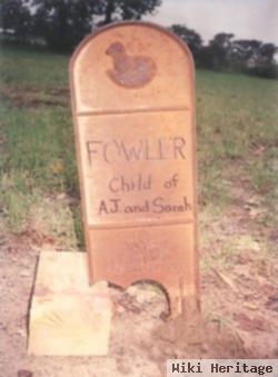 Baby Fowler