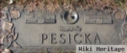 La Fama J. Pesicka