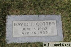 David F Cotter