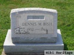 Dennis M. Bish