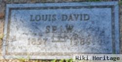 Louis David Spaw