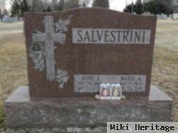 Aldo J Salvestrini