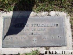 James W Strickland