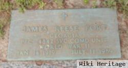 James Reese Fort, Sr