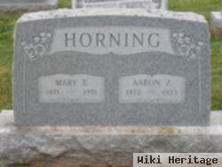 Aaron Ziemer Horning