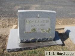 Leon T J Meyer