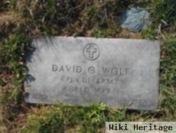 David O Wolf