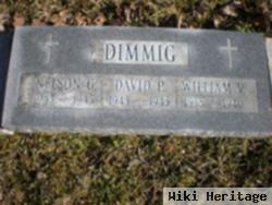 David P. Dimmig