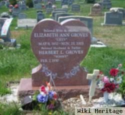 Elizabeth Ann "lizzy" Groves