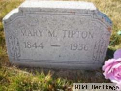 Mary M Tipton