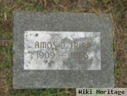 Amos Dwaye Tripp