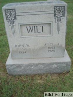 John Wilt