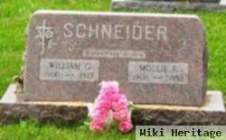 Amalia F "mollie" Schwenk Schneider