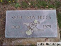 Seth Troy Higgs