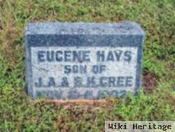 Eugene Hays Cree