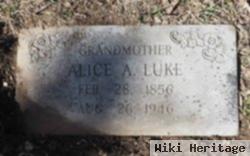 Alice A Luke