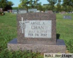 Arnie Albin Chan