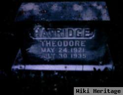 Theodore Hatridge