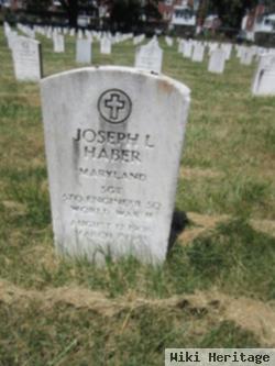 Joseph L Haber