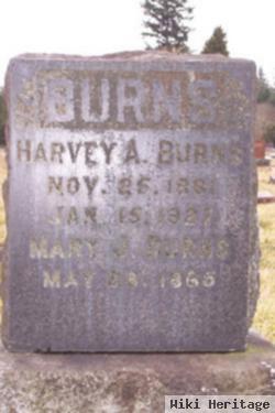 Harvey A. Burns