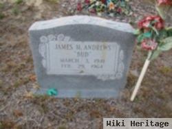 James Mancil "bud" Andrews