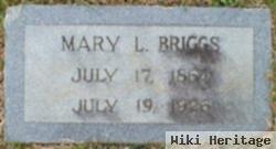 Mary L. Briggs