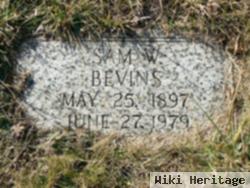 Samuel W Bevins