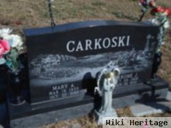 Mary Avis Knebel Carkoski