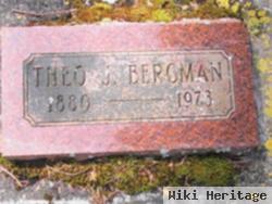 Theo J Bergman