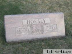 Esther Lillian Vergenz Hoesly