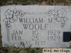 William M Woolf