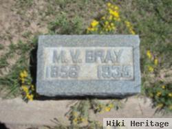 Michael Vernon Bray