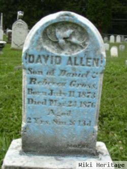 David Allen Gross