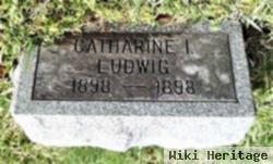 Catharine T Ludwig