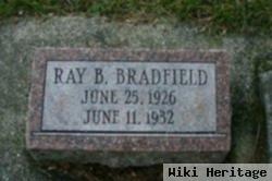 Ray Benson Bradfield