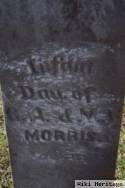 Infant Morris