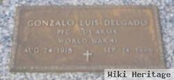 Pfc Gonzalo Luis Delgado