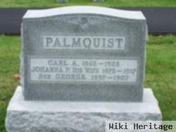 Carl A Palmquist