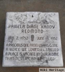 Pamela Diane "kandy" Redmond