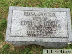 Rosa Jaycox Odell