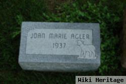Joan Marie Agler
