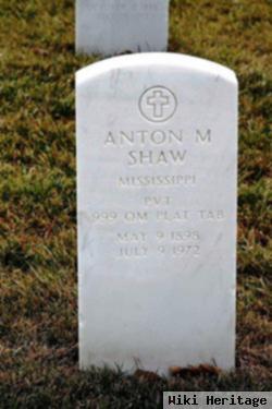 Anton M Shaw