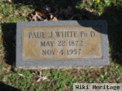 Paul J White