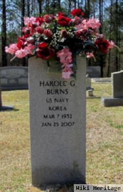 Harold Grey Burns