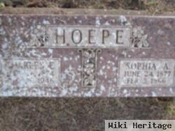 Sophia Stead Hoepe