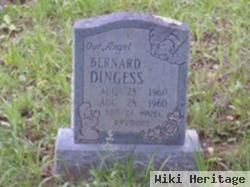 Bernard Dingess