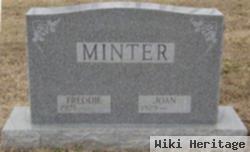 Joan V Vititoe Minter