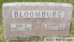 Kathryn J Bloomburg